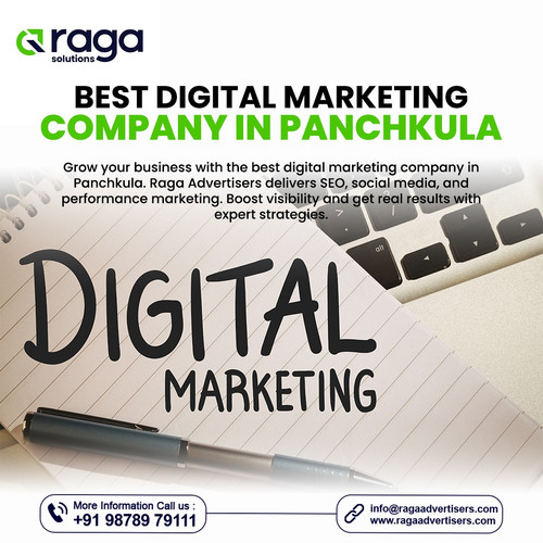 Best Web Development Company in Panchkula.jpg