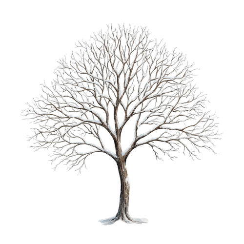 CE..Winter Hearth.elements (109).png
