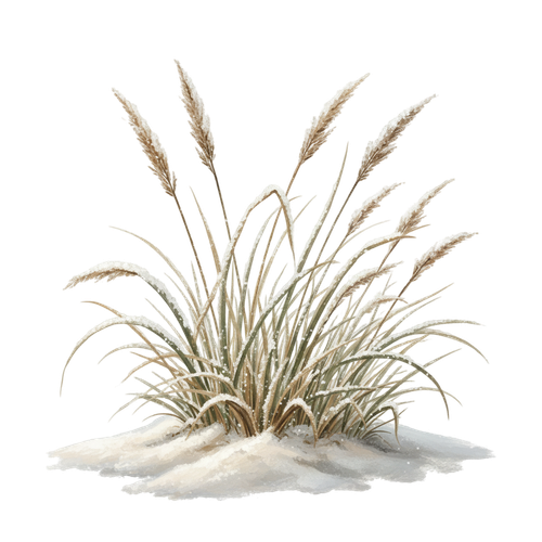 CE..Winter Hearth.elements (107).png