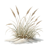 CE..Winter Hearth.elements (107)