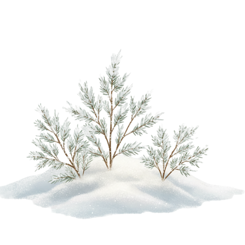 CE..Winter Hearth.elements (108).png