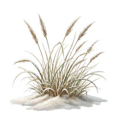 CE..Winter Hearth.elements (117).png