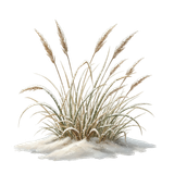 CE..Winter Hearth.elements (117)