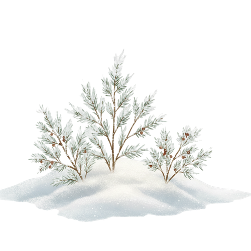 CE..Winter Hearth.elements (6).png