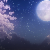 Lana Darlene Theophilus.png