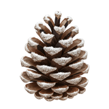 CE..Winter Hearth.elements (39)