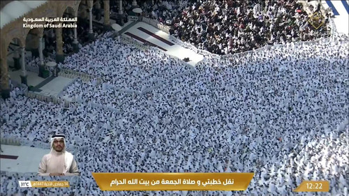 ehgK bM877 Tm641.jpg