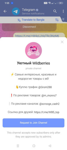 signal 2025 12 06 135331.jpg