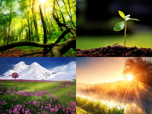 ' Glorified is Allaah-God , The All-Mighty Creator '.jpg