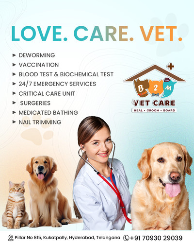 What Veterinary Services Are Essential for Your Pet?.jpg