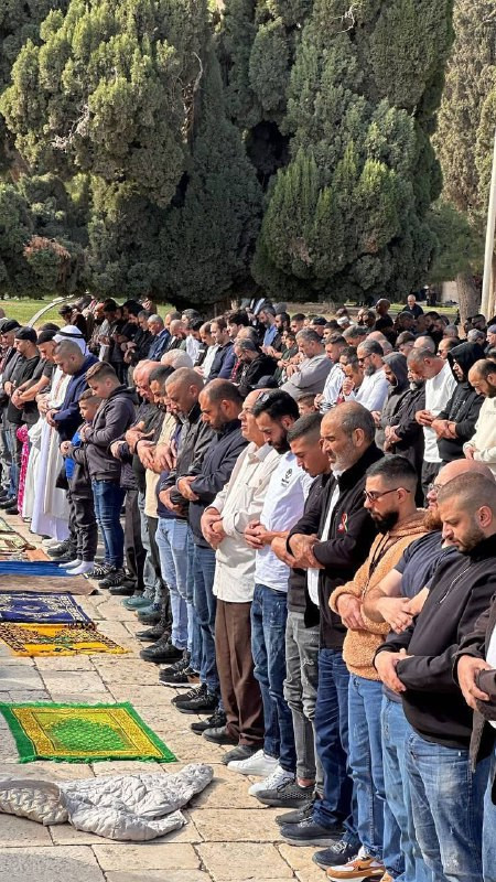 رغم التضيقات والمنع ..60 ألف مصلّ أدوا صلاة الجمعة في المسجد الأقصى ....