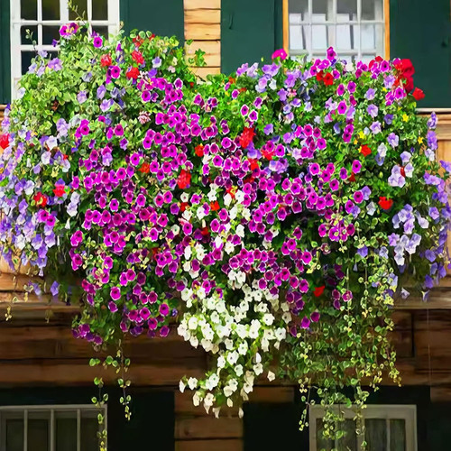 81Fg6 PweHL. AC SL1500 .jpg