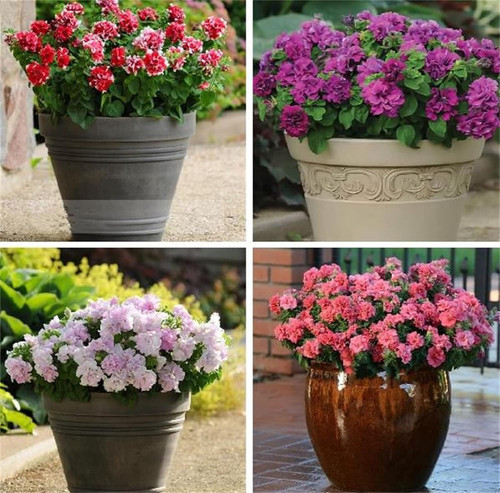 71qlECuZXOL. AC SL1500 .jpg