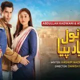 t335 sanwal yaar piya