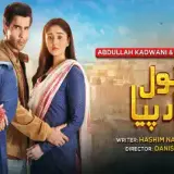 t335 sanwal yaar piya card