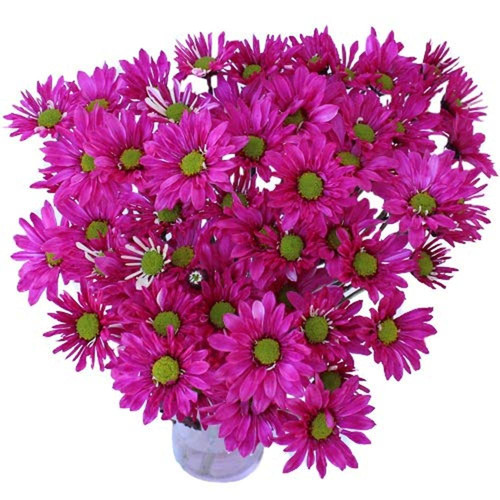 61WUZ3vLk1L. SL1000 .jpg