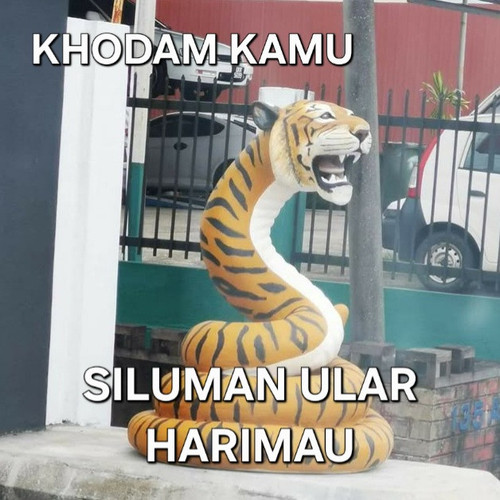 1000189285.jpg