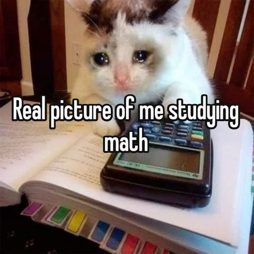 f83df448c3e4f4fb5e3d14a1d18e426f.jpg