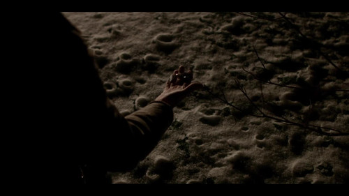 frame3.jpg
