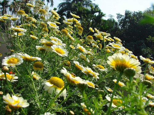 81yfNFqILrL. SL1500 .jpg