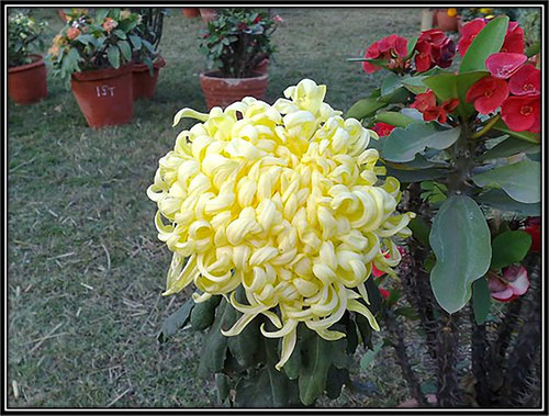 81Abnj 9m4L. SL1500 .jpg