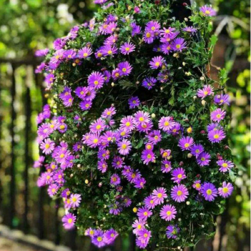 81aUND6bbYL. AC SL1500 .jpg