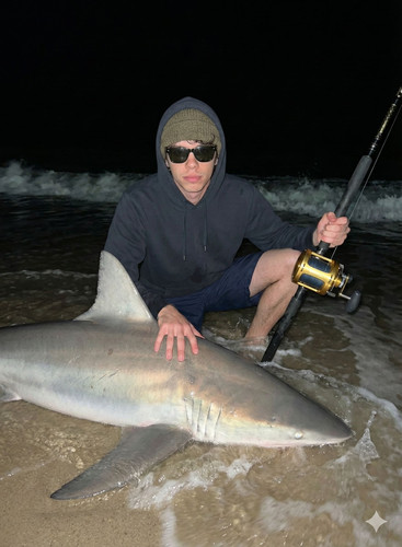 PROMPT SHARK CATCH.jpg