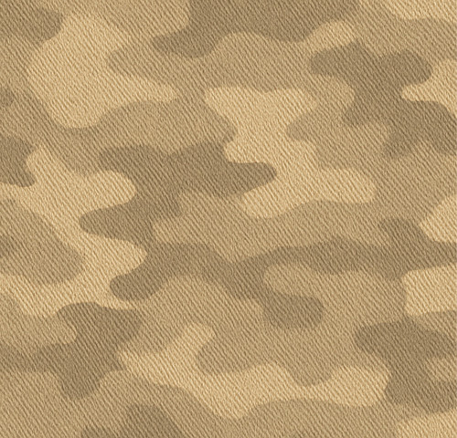 camo.jpg