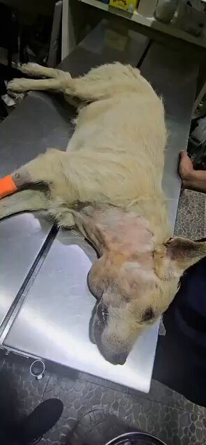 GWJFsZT9cYNhUX n.jpg