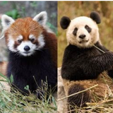 스크린샷 2025 12 06 134016.png