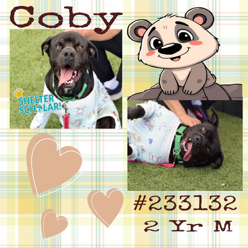 G5 n2aSWcAAG0r6?format=jpg.jpg