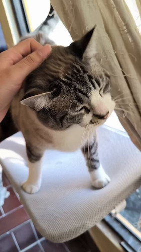 TSV6YYmN 0o0C5Rz.jpg