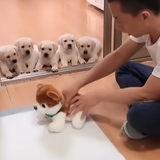 스크린샷 2025 12 06 124454.png