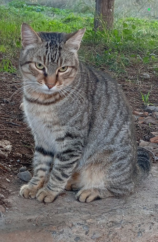 G6VycJ XIAA1jWD?format=jpg.jpg