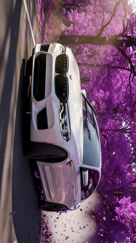 a0d7a34a f4a8 4d38 9681 3fff6d9b95a4.jpg