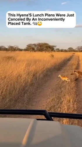 GxoIo05Oe4 cmViH.jpg