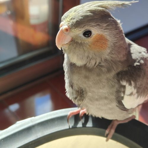 IMG 20251206 124858.jpg