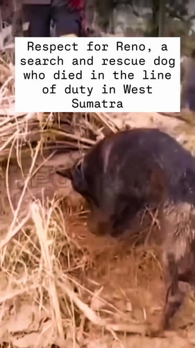 fN 2X2f0awcCLqUi.jpg