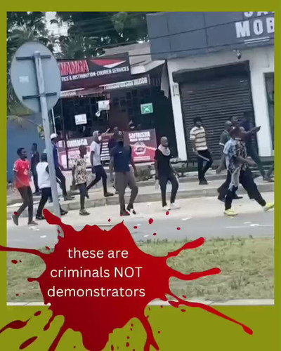 zQZCDTdNMt JhT C.jpg