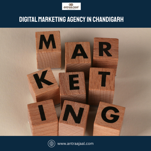 Digital Marketing Agency in Chandigarh.png