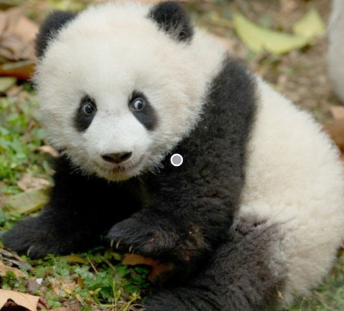 스크린샷 6 12 2025 141925 search.naver.com.jpg