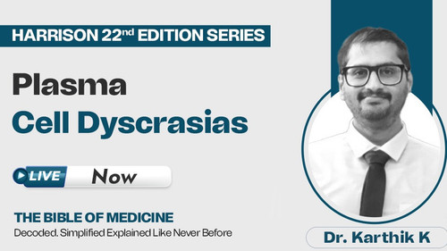 WhatsApp Image 2025 12 06 at 10.02.25.jpg