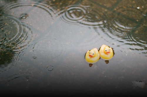 ไม่มีชื่อ 149 20251206122256.png