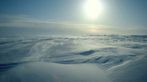 7VbVM6zg2tf vo5p.jpg