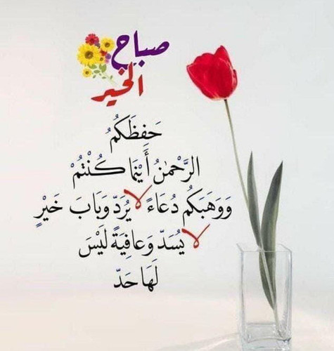 G7dT1RzXUAAe Tm?format=jpg.jpg