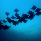 vlcsnap 2025 12 06 18h48m42s385