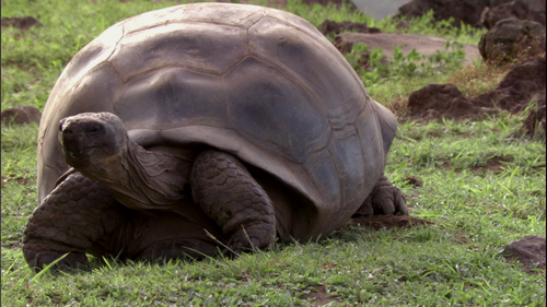 vlcsnap 2025 12 06 18h49m30s872.png