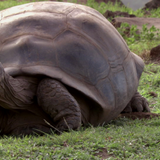 vlcsnap 2025 12 06 18h49m30s872