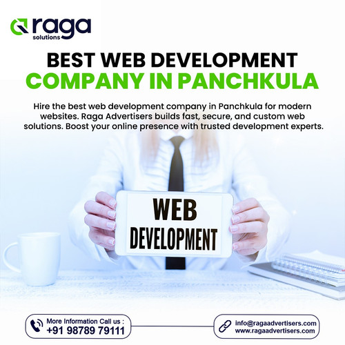 Best Digital Marketing Company in Panchkula.jpg