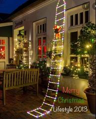 fotor 1765014562318.jpg